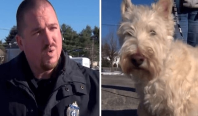 Lille hund løber op til betjenten og begynder at gø højlydt, beder betjenten om at følge ham