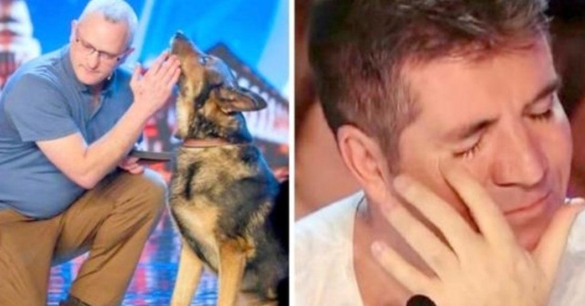 Politihund stukket i vagt, har Simon Cowell slået tårer tilbage på BGT