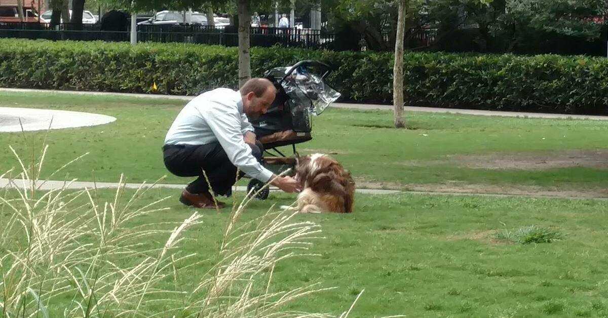 Ejer tager sin blinde hund ud af klapvognen, troede, ingen ser på ham, når han bøjer sig ned